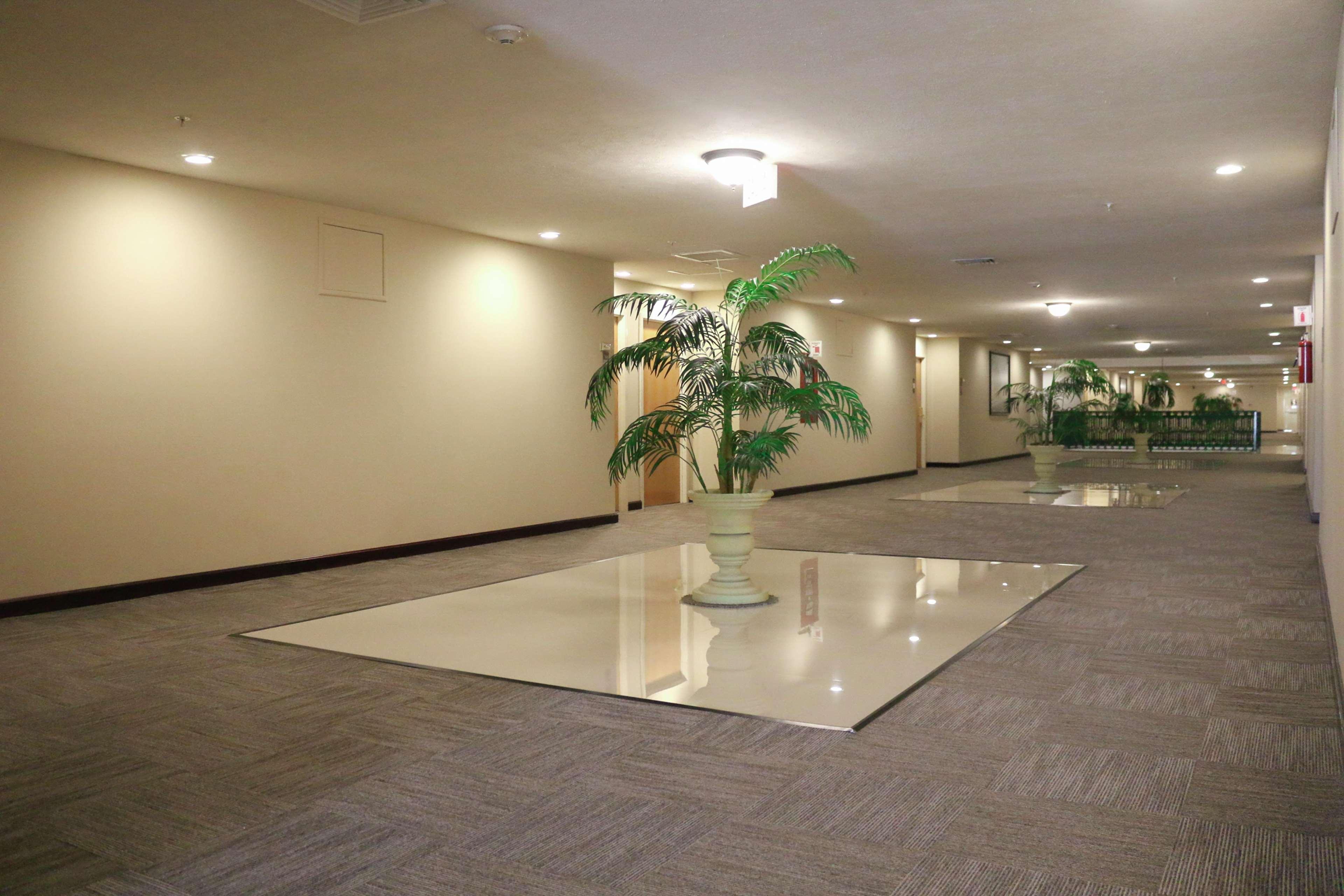 Hampton Inn Tampico Zona Dorada Kültér fotó